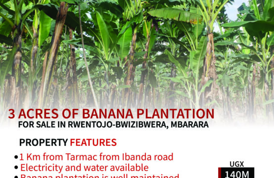 3 ACRES OF BANANA PLANTATION FOR SALE IN RRWENTOJO-BWIZIBWERA, MBARARA ALL FOR SALE AT UGX 140M.