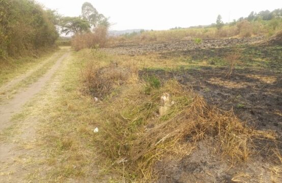 Residential plot for sale in Rwobuyenje II Mbarara city 2km from tarmac at just UGX 10M/-